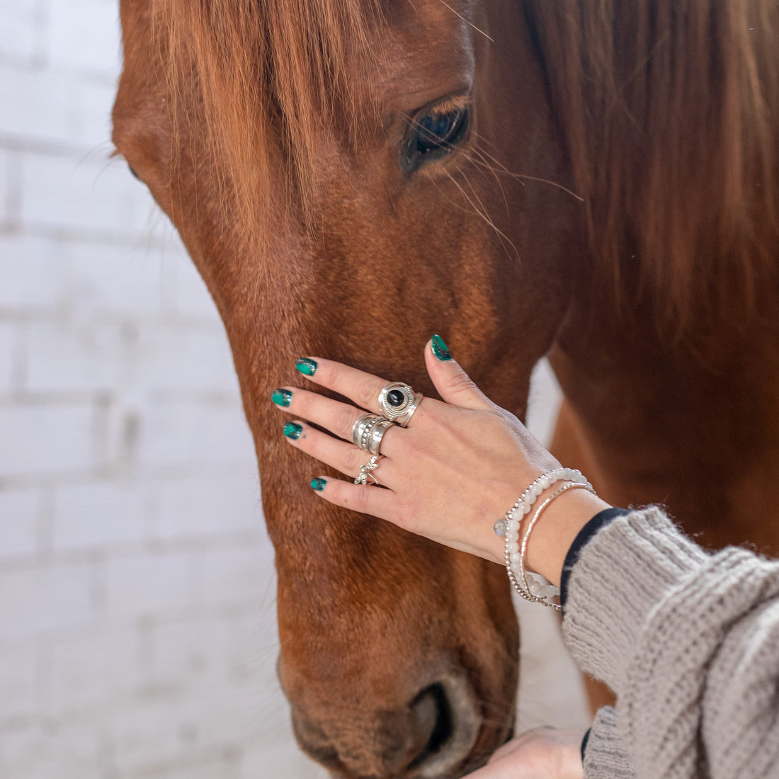 Anillo Libelula