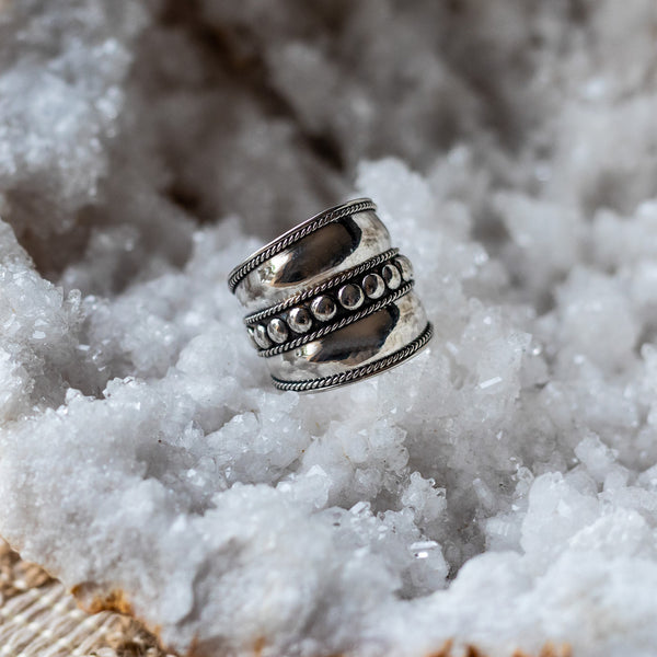 Anillo Antlia Minimalista de Plata 925