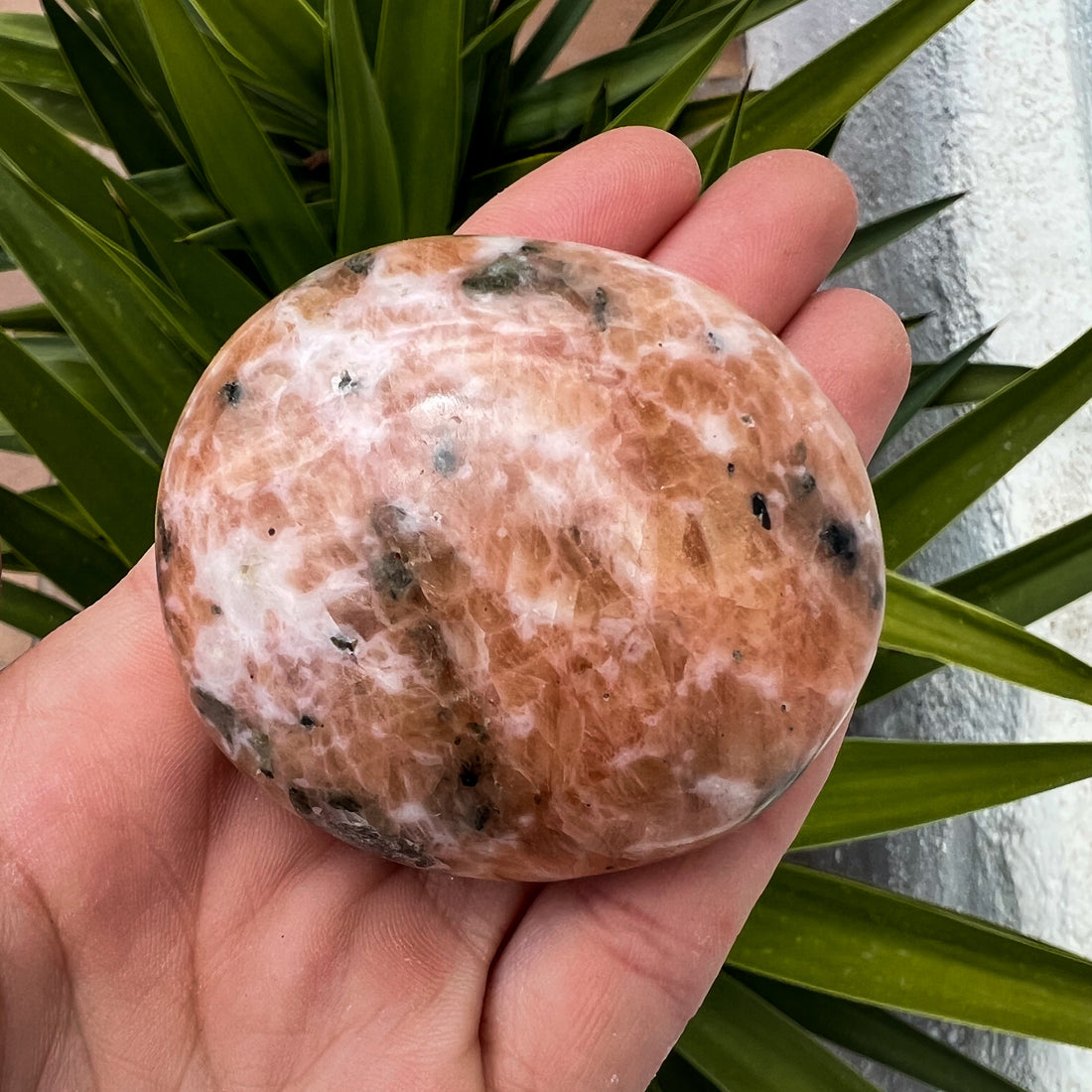Piedra de palma de Calcita Naranja